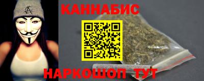индика Лесосибирск