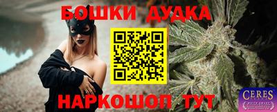 индика Лесосибирск