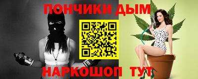 индика Лесосибирск