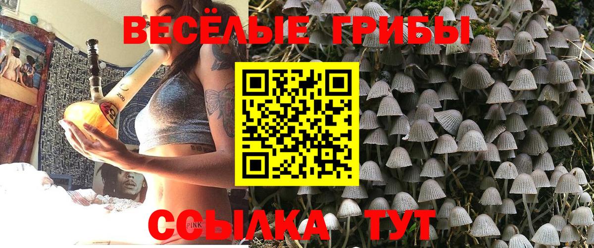 Псилоцибиновые грибы MAGIC MUSHROOMS  Галлюциногенные грибы GOLDEN TEACHER  Вход с VPN  Елабуга 